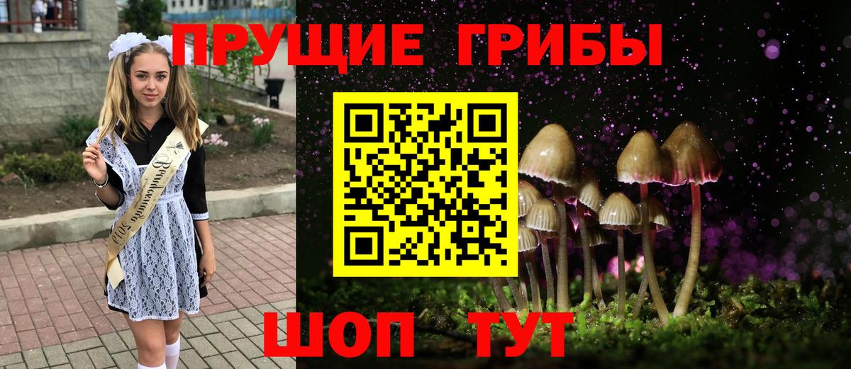 Галлюциногенные грибы Cubensis Лениногорск