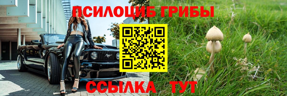 магазин продажи   Вход с VPN  Галлюциногенные грибы Psilocybe  Лениногорск  Галлюциногенные грибы ЛСД 
