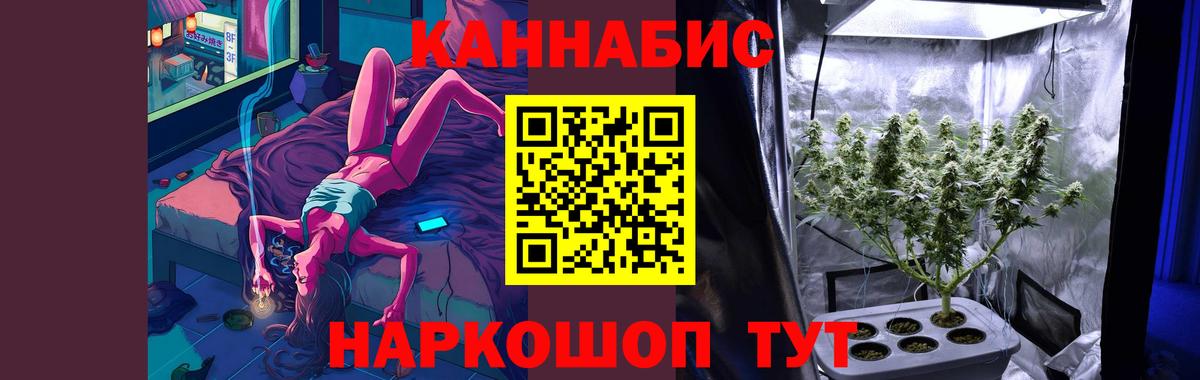 Конопля гибрид Лениногорск